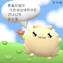 특별한 네컷 사진을 남기고 싶다면?! 내돈내산 홍대 포토랩플러스 후기 🤳(부엉이 일기장 후기도 있음ㅠ)