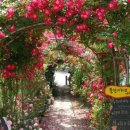 메모리아펜션 이미지