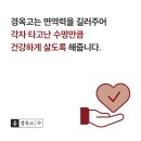 나비온한의원 이미지