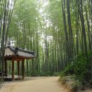 곡성-166 이미지