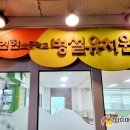 지장초등학교병설유치원 이미지