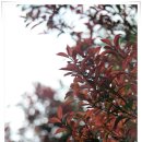 탐라대학교 이미지