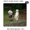 잠수부네