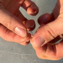 수신낚시터 | [용인] 겨울 액티비티 추천 - 빙어잡이 첫 방문 후기 <빙어 잡는 꿀팁, 준비물 추천>