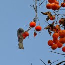 카페인생이야기 이미지