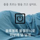 백년이불