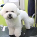 멍했냥 평택본점 이미지