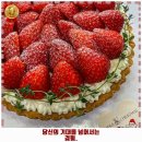 효성1동 | 효성1동 맛집 카페나무 추천 1순위 가격 주차 예약 리뷰 알아봐요