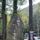 제217차 정기산행 대전 장태산(353m)메타~단풍산행.공지 이미지
