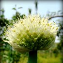 예슬이네 이미지