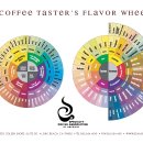 Coffee향