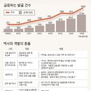 “굴착기 대신 붓으로 파나” vs “역사는 재개발이 안 된다” - 개발의 복병, 문화재 이미지