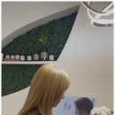 매스티지헤어샵