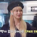 대신카 이미지