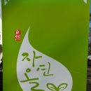 법인자연을담다