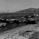 삼락초등학교 이미지