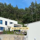 코커스101 이미지