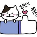불타는돈가스 이미지