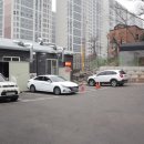 참진생고기 이미지