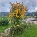 참맛있는밥상 이미지