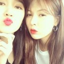 지아 이미지