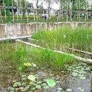 서울은빛요양병원 이미지