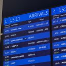 프라하1일차 : 공항➡️구시가지 이동, 비프 타르타르 맛집 칸티나(Kantýna) 방문 후기