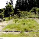 작전초등학교 앞(고려연립 방면) | 완도 장도 청해진과 장보고(張保皐, 미상 ~ 846년)
