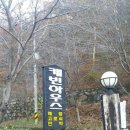 캐빈하우스민박 이미지