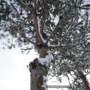 건축사사무소 담다 이미지