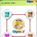 기가솔솔 이미지