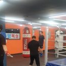 수원동양복싱 이미지