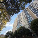 삼환 | 강동구 명일동, 명일삼환아파트 임장 후기