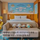 펫츠베이 제주아라점 | [쎄쎄쎄의 호텔노트] 국내 캐릭터룸 호텔 추천 TOP10 (2025 최신 업데이트) | 아이와 호캉스 숙소 모음