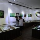 여주곤충박물관 이미지