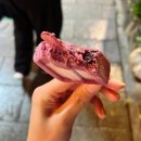 전주 한옥마을 디저트 추천 ‘정갈한 솜씨’ 아이스크림 🍦 요거트+과일맛 솔직후기!
