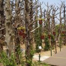 애완동물원 이미지