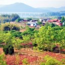 달빛호수 힐링하우스 이미지