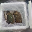 풍암119안전센터 이미지