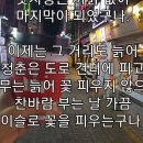 블랙로즈 이미지