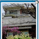 마당넓은 집 이미지