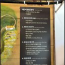 팬플롯&숲속힐링 | 제주 에코랜드 테마파크 기차여행 숲속 힐링코스 솔직후기