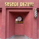 댕댕이 머리방 이미지