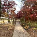 정원파크 이미지