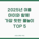 2025년 여름, 아이와 함께! 한국에서 가장 핫한 물놀이 장소 TOP 5