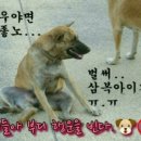 복 이미지