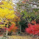 🚚그래도 아브라함을 통해서 축복하게 하시다🟢창세기 이야기 이미지