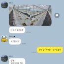 들풀농장 | [기록] 2026. 6. 6. ~ 6. 7. 귀농 라이프의 낭만이 가득했던 주말 기록
