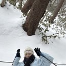 하나로코사마트 이미지