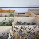 고막농장 이미지